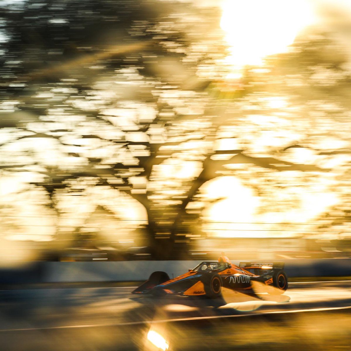 PatricioOWard's tweet photo. Whats next….? RACING is next. Can’t wait for next week. See you soon @GPSTPETE 

Que sigue..? ¡El inició de la temporada! Ya quiero 😊 Nos vemos la próxima semana San Petersburgo https://t.co/7jbUFlU54c
