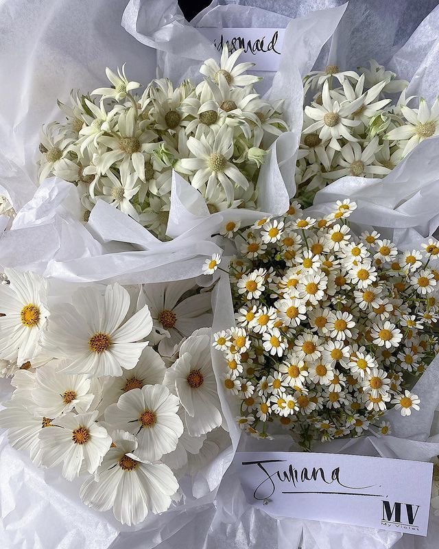 300moods's tweet photo. flowers 🤍 https://t.co/iAjhkSyvFB
