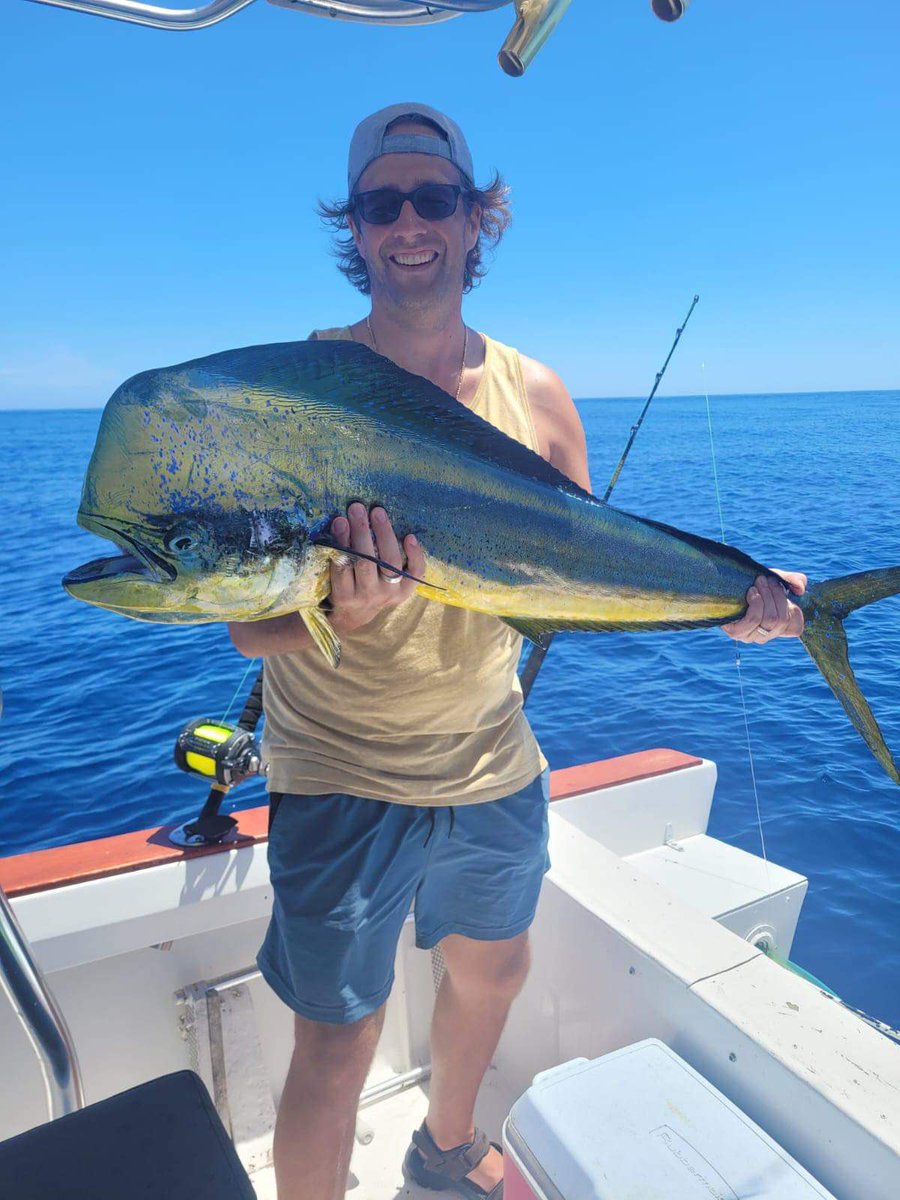 King Combat 🎙 tweet media