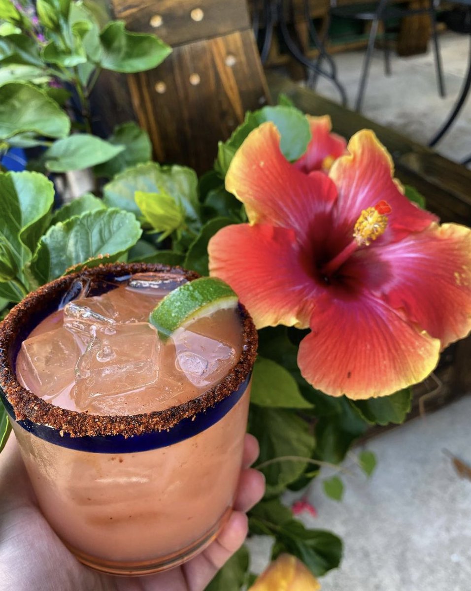 EPassyunkAve's tweet photo. Celebrate National Margarita Day on the Ave with @CantinaPhilly and @PistolasDelSur 🍹

@CantinaPhilly // $6 Classic Margaritas all day long (rocks or frozen) 

@PistolasDelSur // $6 Spicy Cucumber Margaritas all day https://t.co/oKh9cLHYBe