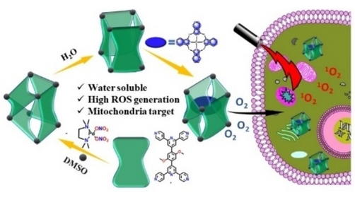 Angewandte Chemie (@angew_chem) on Twitter photo Solvent Induced Conversion of a Self-Assembled Gyrobifastigium to a Barrel and Encapsulation of Zinc-Phthalocyanine within the Barrel for Enhanced Photodynamic Therapy (Mukherjee) <a href="/psm_lab/">Partha Mukherjee's Lab</a> onlinelibrary.wiley.com/doi/10.1002/an… Solvent Induced Conversion of a Self-Assembled Gyrobifastigium to a Barrel and Encapsulation of Zinc-Phthalocyanine within the Barrel for Enhanced Photodynamic Therapy (Mukherjee) <a href="/psm_lab/">Partha Mukherjee's Lab</a> onlinelibrary.wiley.com/doi/10.1002/an…