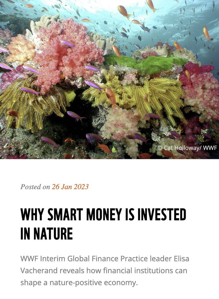 UNBiodiversity's tweet photo. How can #financial institutions shape a #NaturePositive global economy?

🦎put nature at the heart of #transition
🌱unlock private #finance for nature
🌿require #disclosure of nature-related risks
🍀drive action through #regulation

Read 👉https://t.co/8ce94KTVCB 

Via @WWF_Media https://t.co/bPSf86hvjq