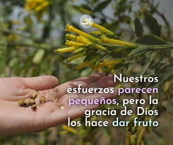 Mairenejrb's tweet image. #HelpTurkeySyria  que pronto la normalidad y la paz en sus corazones los fortalezca 🙏🙏🙏🍀💚🕊️💖🌾