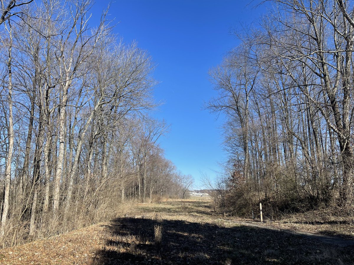 EricMcCabe11674's tweet photo. Working on another beautiful blank canvas in one of my favorite states to play #DiscGolf any guesses?
#McCabeDesign https://t.co/BNROIpD4OG