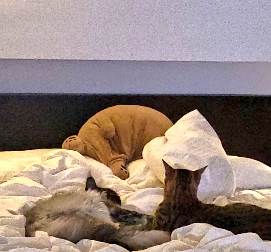 SyimaCima's tweet image. I'm not watching kdrama (yet) nowadays, but Junho and Taecyeon..fighting!!!