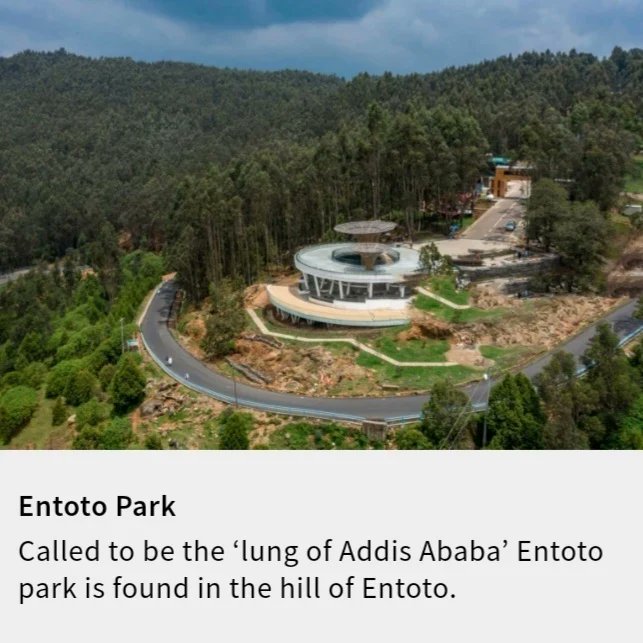 Rotatethiotour's tweet photo. #rotatethiotour #Ethiopia #Lalibela #Gondor #Axum #Dallol #Danakildepression #Afar #Ertale #Harar #Omovally #AddisAbaba #tours #coffee #tourism #food #tourguide #africa #travel #Africa #nature #history #culture #USA #Europe #Tourguide #AddisAbaba #touroperator #travel
0913689229 https://t.co/E74syBTIc4