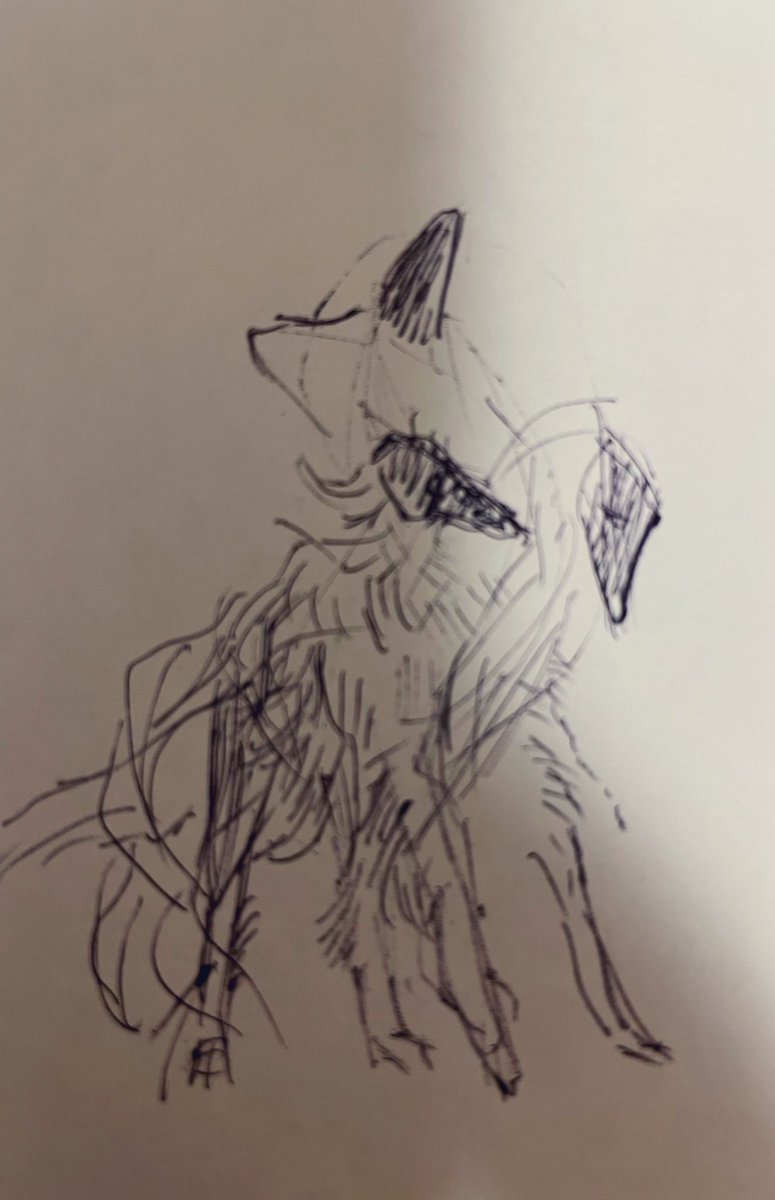 n_i_r_i_n's tweet image. アイコンこっちでも良かった