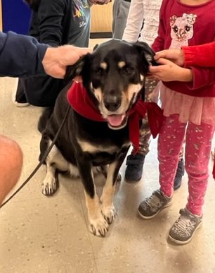 Eastlake School has been so lucky to have had visits from Brody the therapy dog!  Wherever Brody goes, there are happy smiles from everyone!