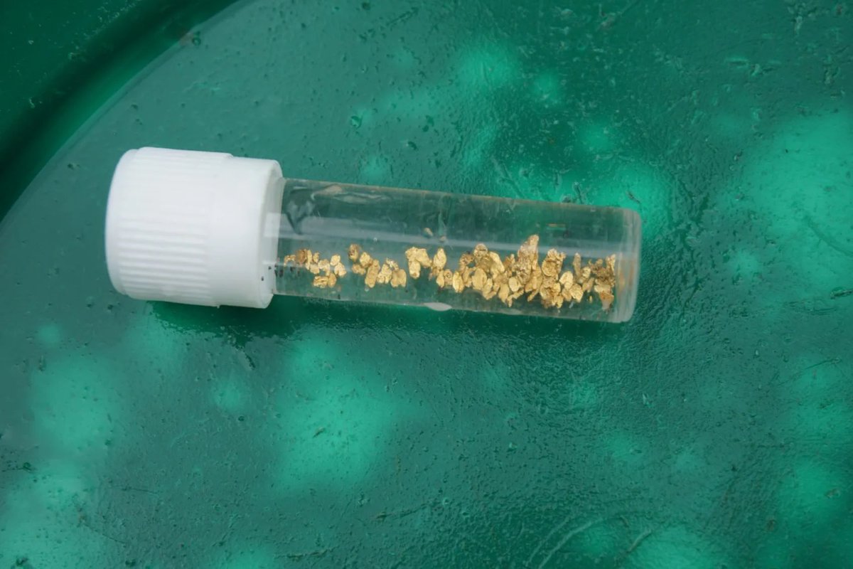 Pledge4Prosper's tweet photo. Want to find gold while #RiverPanning? Look for spots with slow-moving water and exposed bedrock. Some prime locations include behind large rocks or boulders, inside river bends, and in gravel bars. Happy hunting! #GoldProspecting #OutdoorActivities #Adventure #Natural https://t.co/YCZTeVytxW