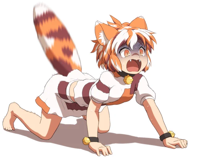 #猫の日 