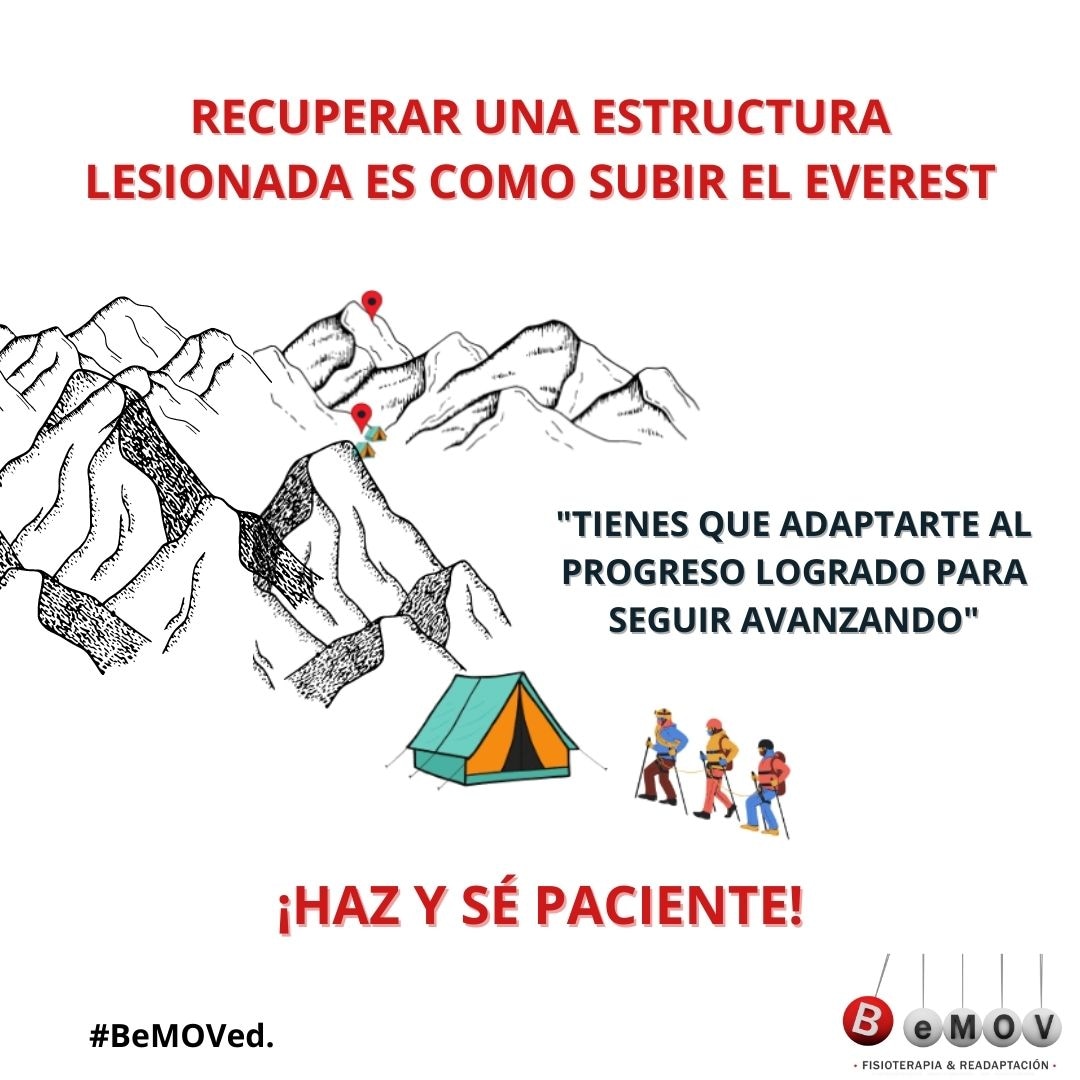 BeMOV Fisioterapia tweet media