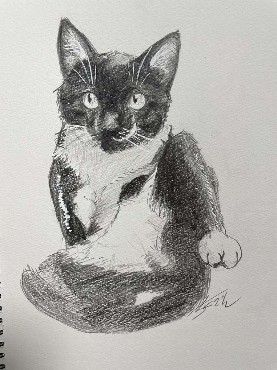 「猫の日 」|ちくでん（お仕事ご依頼受付中）のイラスト