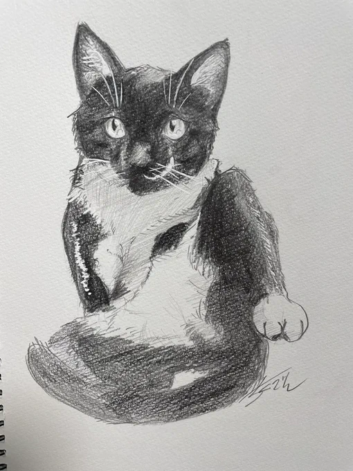 猫の日 