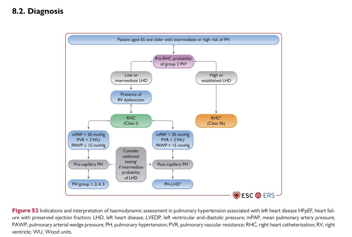 GiuseppeGalati_'s tweet photo. 🔥 #PulmonaryHypertension in #HeartFailure 2/2
🔍 Divided in:
- Isolated post-capillary #IpcPH
- Combined post- & pre-capillary #CpcPH
👉 Potential role of new drugs like #vericiguat that should be tested in both populations of #HF (#IpcPH & #CpcPH)
- NO-sGC-GMP pathway is 🔑 https://t.co/3ja8GRJRpY