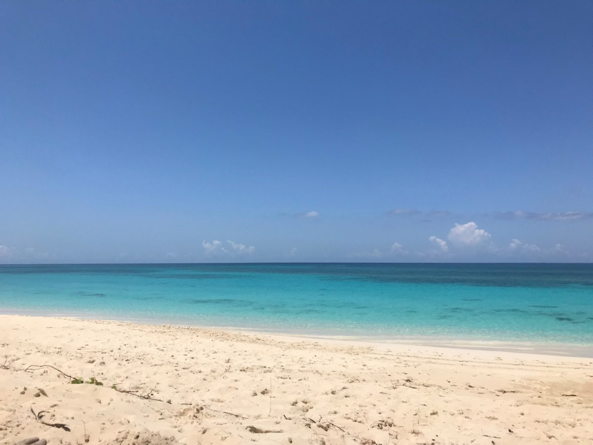 The best part of coming back from vacation? Planning the next one! 

Do unlimited vacation policies lead to reduced productivity? I've seen employees take LESS vcn time with unlimited policies. Looking for others' perspectives. 

*Photo of the beautiful beach I visited last week.