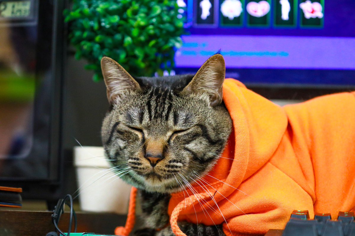 あいちゃん tweet media