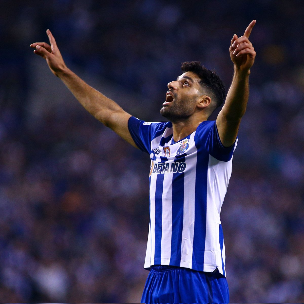 fcportofas19's tweet photo. ⏳️𝗧𝗵𝗲 ���𝗮𝘆 𝗵𝗮𝘀 𝗳𝗶𝗻𝗮𝗹𝗹𝘆 𝗰𝗼𝗺𝗲...💙
#FCPorto #ComoNósUmDeNós #IndomáveisPorNatureza #UCL #IMFCP https://t.co/lm96xU2jqu