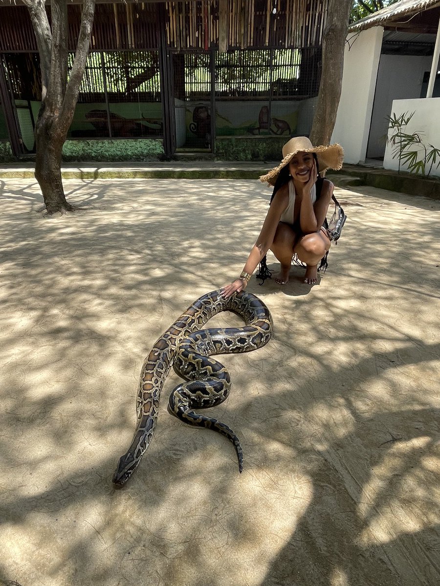 _Sunflower29's tweet photo. Meanwhile I’m this kinda black 😂🐍 https://t.co/hendelcEX4
