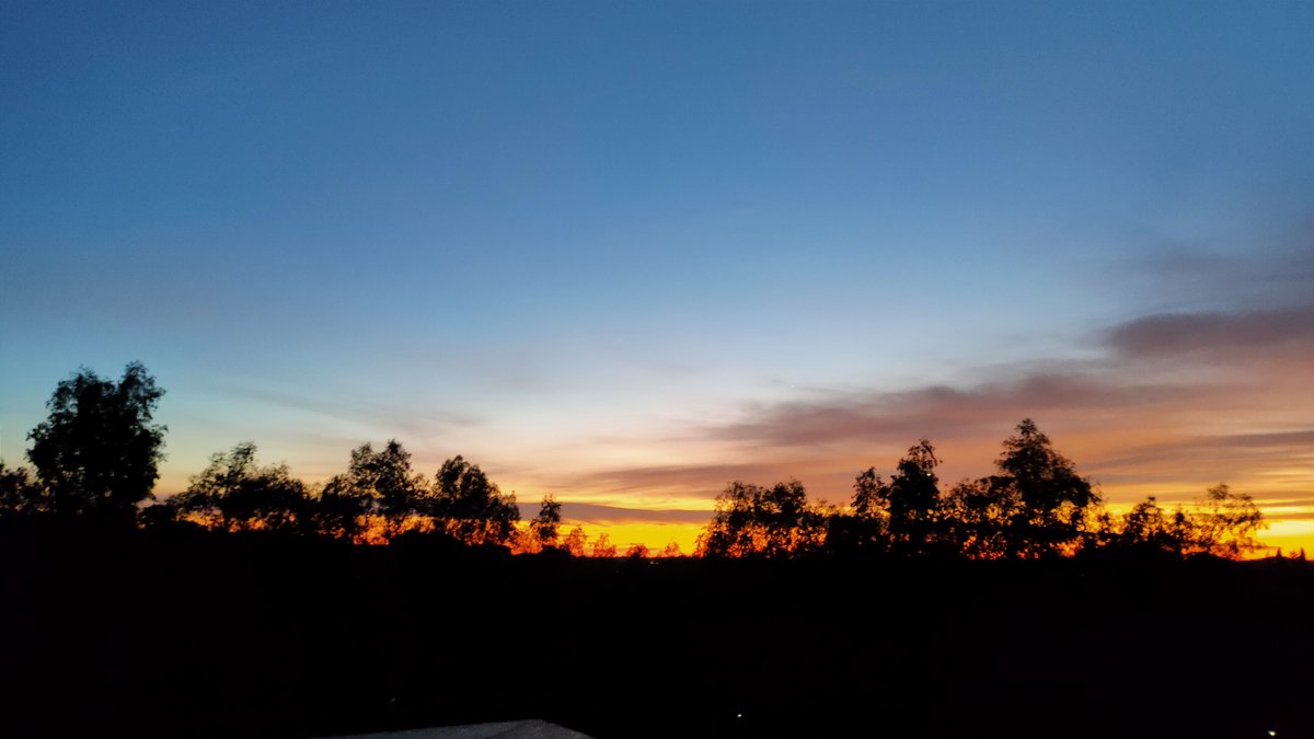 Iglesia sinodal: luz y sombras; perdón y reconciliación en Cuaresma