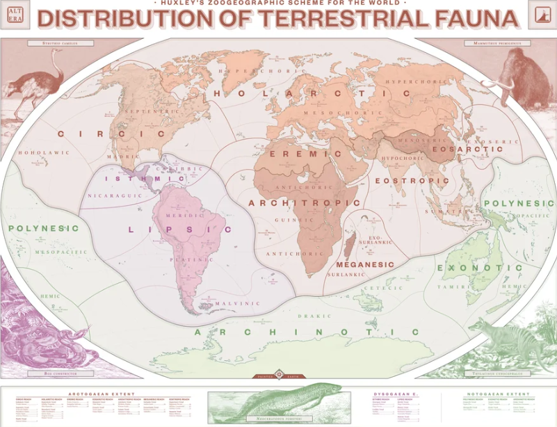 atlasaltera's tweet photo. A fauna biogeography map we made for Altera https://t.co/rr04HWb5uk https://t.co/KNJ3uhgDh7