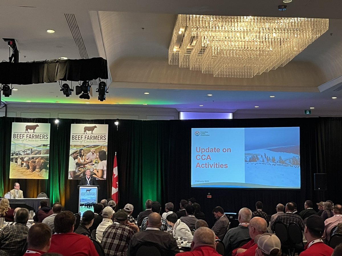 BeefFarmersON's tweet photo. Welcome to @CanCattle for the national update on #cdncattle industry and the challenges they have been tackling. #BFOAGM https://t.co/AqoO27LX82