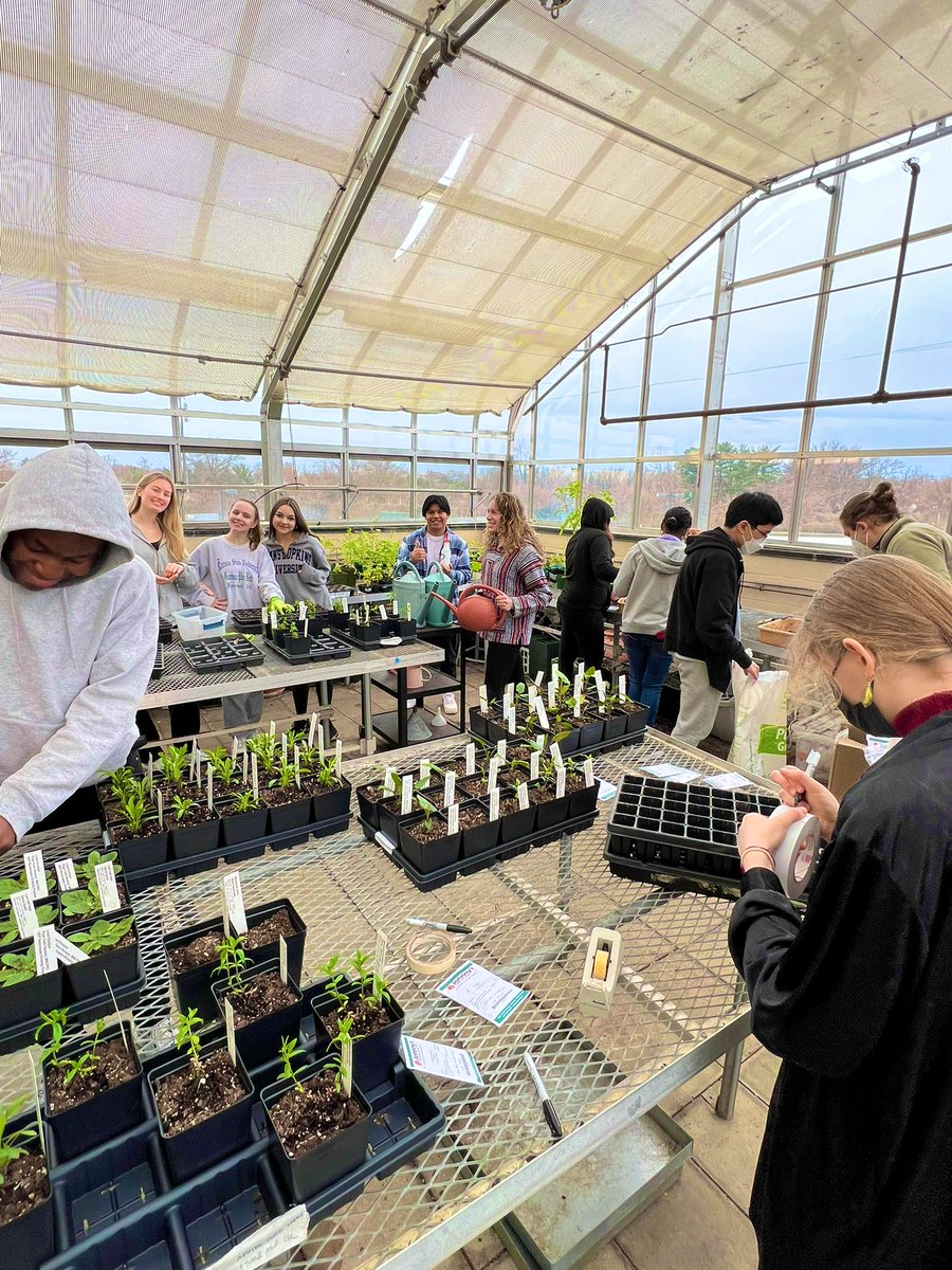 _Ms_Mason's tweet photo. Prepping for our annual plant sale in May takes time and planning. 🌱Horticulture students working hard planting seeds yesterday and today. #handsonscience #mbhs #Horticulture https://t.co/egkWrhw6ao
