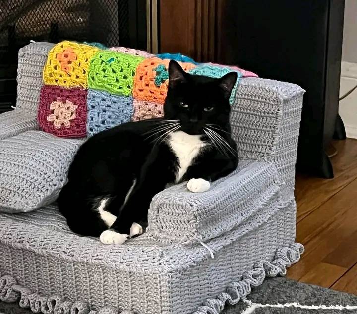 jimrosecircus1's tweet photo. Cats &amp; their tiny crocheted couches .🐱 https://t.co/7059BtgaYB