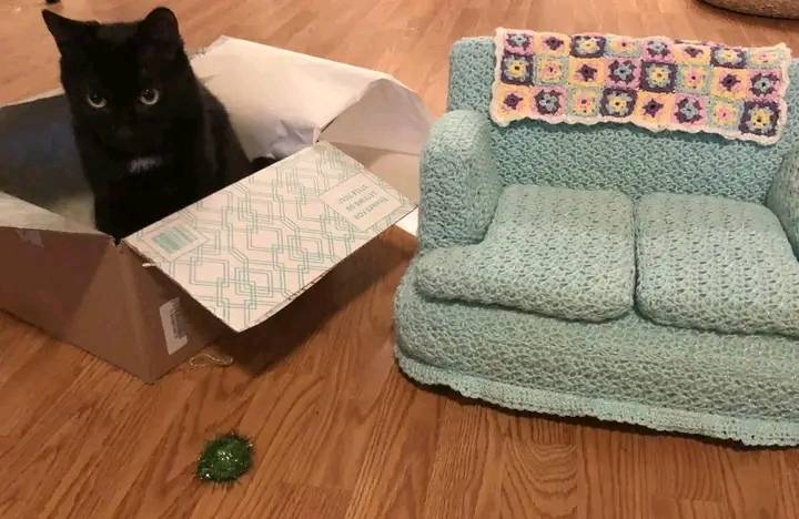 jimrosecircus1's tweet photo. Cats &amp; their tiny crocheted couches .🐱 https://t.co/7059BtgaYB