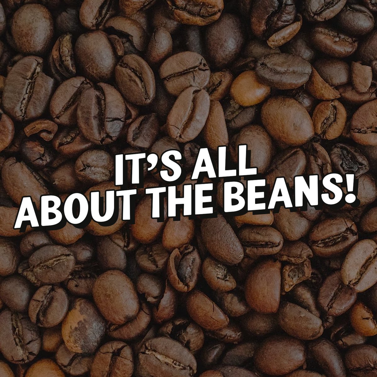 The coffee bag is a pre-sale item.

All orders including a coffee bag will be shipped in roughly 2 weeks.

We want to give you the freshest beans.