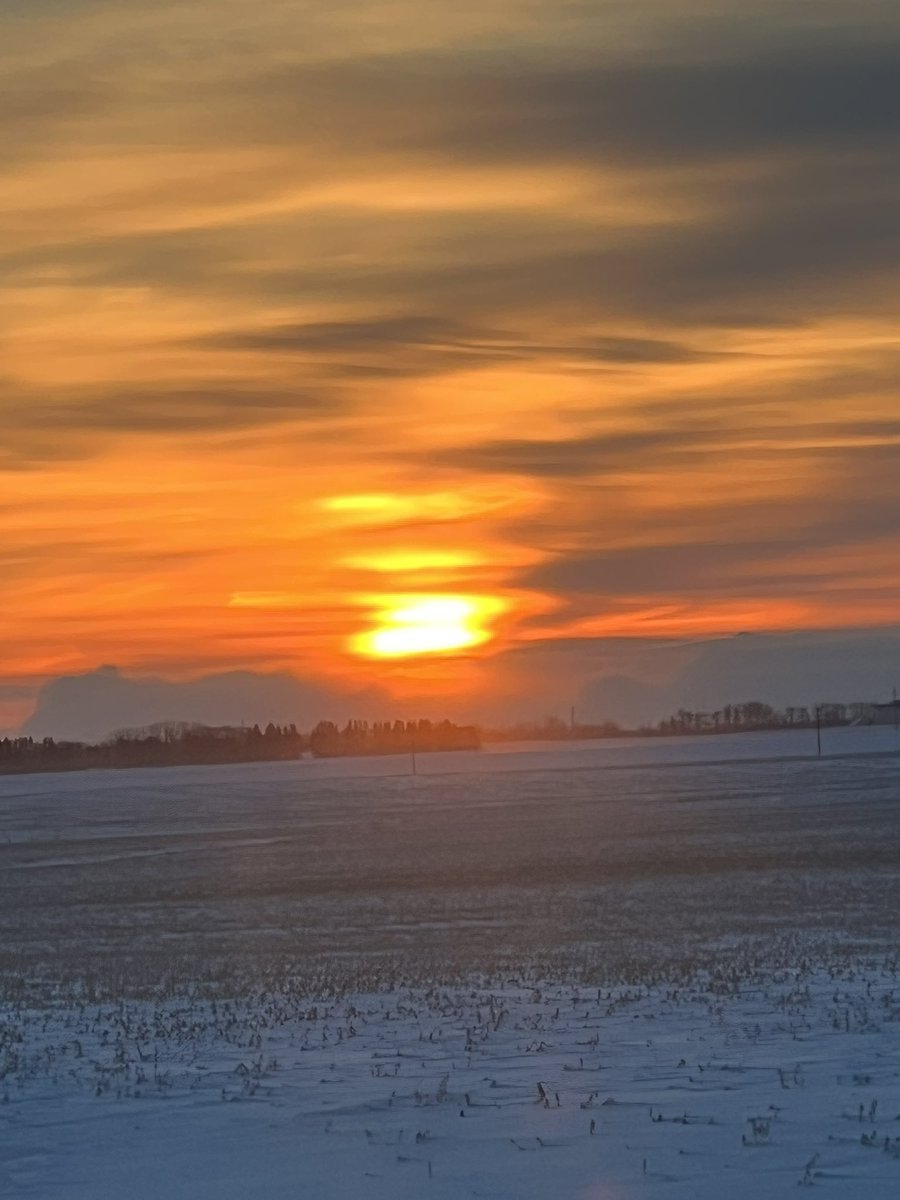 MmePeacock tweet media