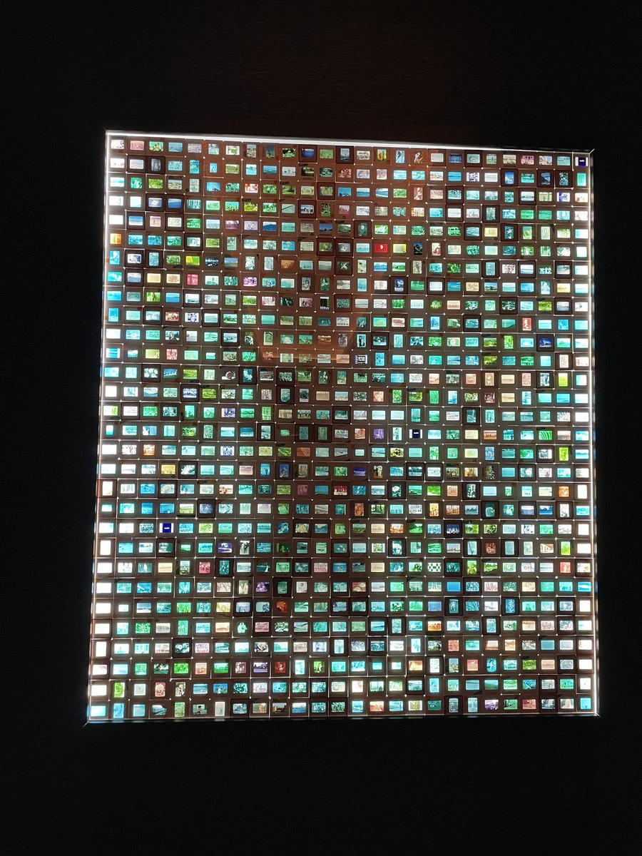 Elspeth Jordan tweet media