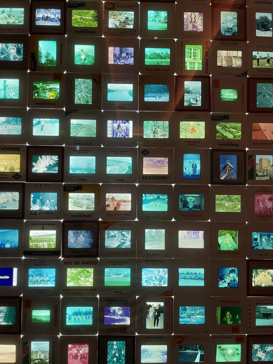 Elspeth Jordan tweet media