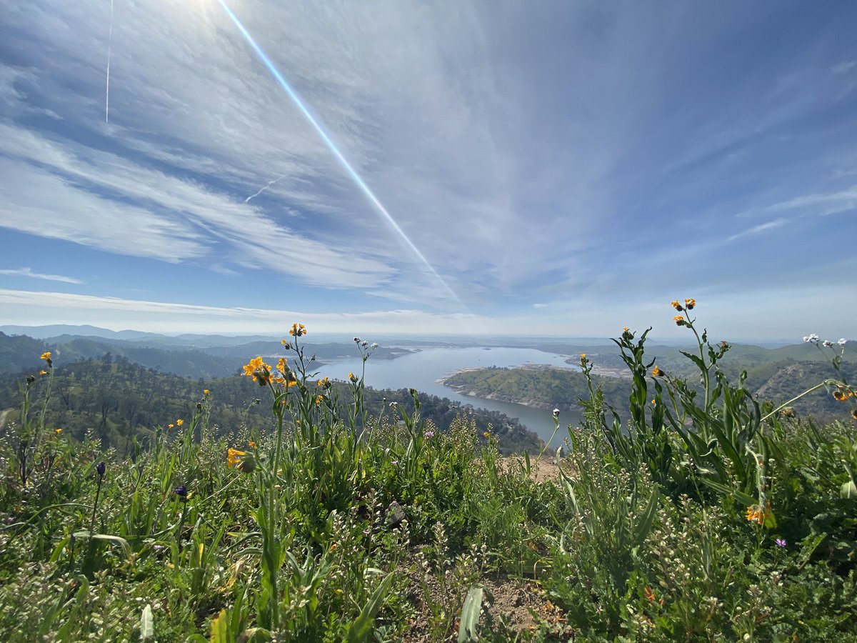 VanessaABC30's tweet photo. Peaks or it didn’t happen… ⛰️☀️
Had an amazing weekend and ready to take on this work week the way I did this hike… with lots of water and a quick break or two along the way. 🤪
#willhikeforviews #takeahike #weekend #wandering #millerton #pincushion #view https://t.co/CL77xcFXGW