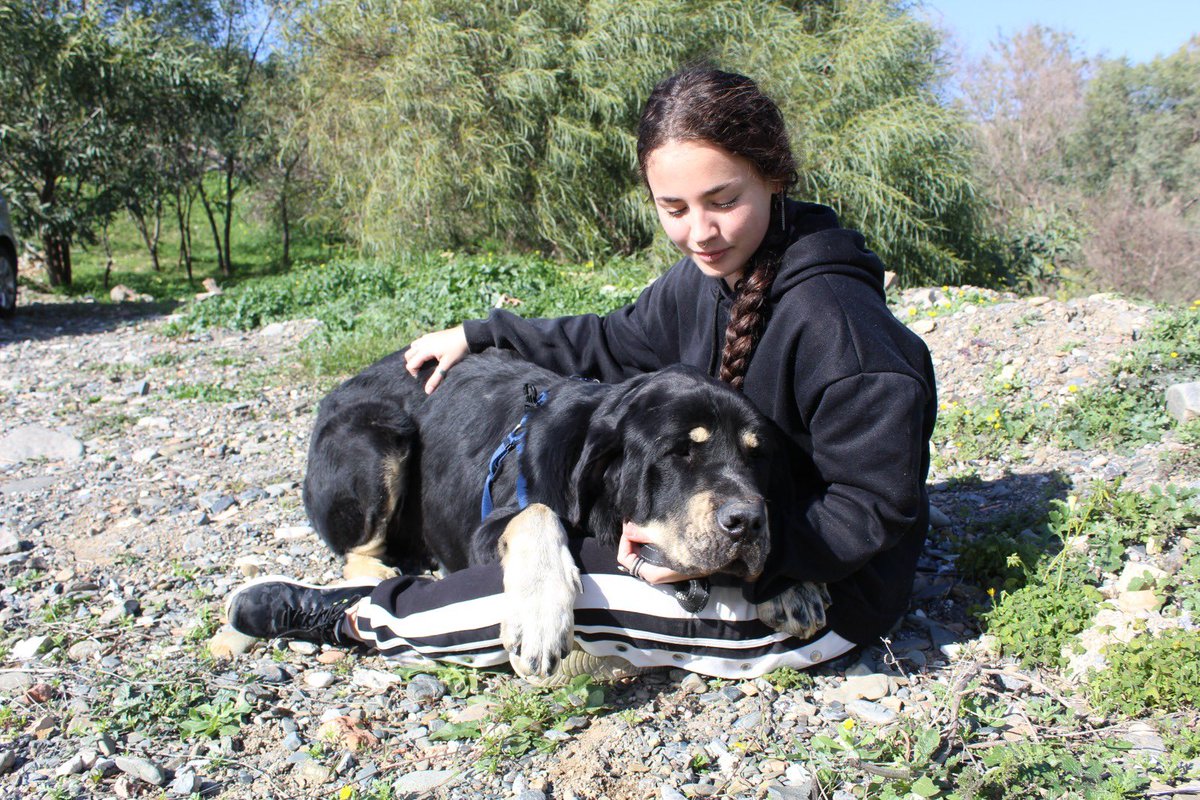 protemalaga's tweet photo. Brutus, 2 años, tamaño grande.
Todo lo que tiene Brutus de grande lo tiene de bueno. Es un perro tranquilo aunque también juguetea en patio con los demás, pero sin duda lo que más le gusta es nuestra compañía, tanto humana como perruna.
📩: moduloc@protectoramalaga.com https://t.co/EB4Ea5M4Wu