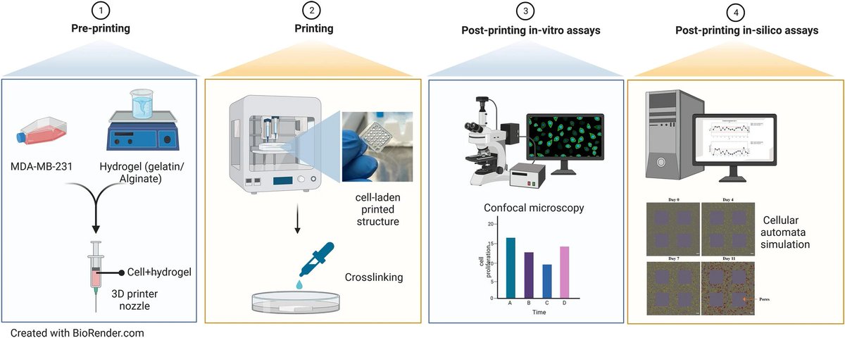 CBB (@waterloocbb) on Twitter photo Looking for a way to optimize in-vitro 3D #bioprinting?
CBB member, <a href="/uw_kohandel/">Mohammad Kohandel</a>, has demonstrated how in-silico models can predict and elucidate post-printing biological functions without replicating costly and time-consuming in-vitro measurements.
nature.com/articles/s4159… Looking for a way to optimize in-vitro 3D #bioprinting?
CBB member, <a href="/uw_kohandel/">Mohammad Kohandel</a>, has demonstrated how in-silico models can predict and elucidate post-printing biological functions without replicating costly and time-consuming in-vitro measurements.
nature.com/articles/s4159…