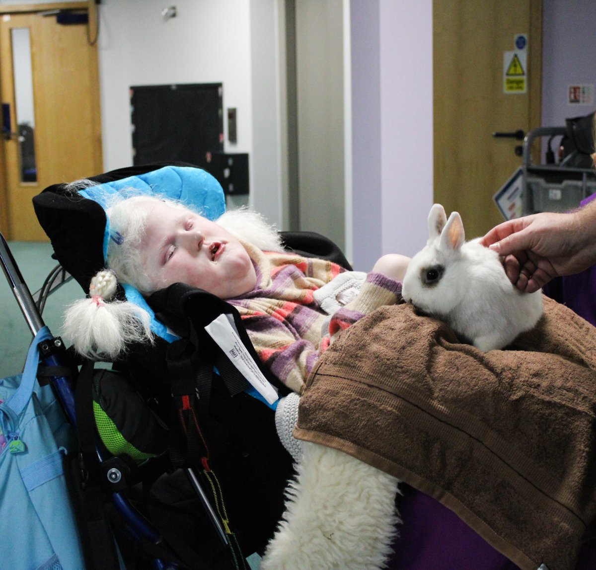 BluebellWoodCH's tweet photo. Children who visited Bluebell Wood this week got the chance to make a furry friend! π°
Florence and Jax enjoyed cuddles and snuggles with very gentle bunny, Snowball π
#bunnysoftwitter #furryfriend https://t.co/z7t1Shdlz2