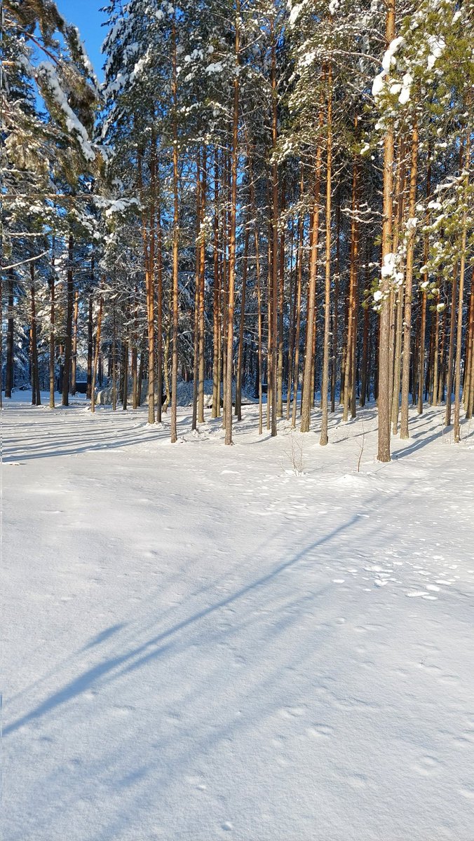 ValtonenVesa's tweet photo. Touhukas palveluspäivä prikaatissa: #ek #spolk #1hk #viestik #sluk ja #pstk aselajiharjoituksissaan. Suosiollinen sää lisää motivaatiota, mutta myös altistaa ilmasta tiedustelulle ja vaikuttamiselle🤔
#porpr
#maavoimat https://t.co/UkALngzj0w