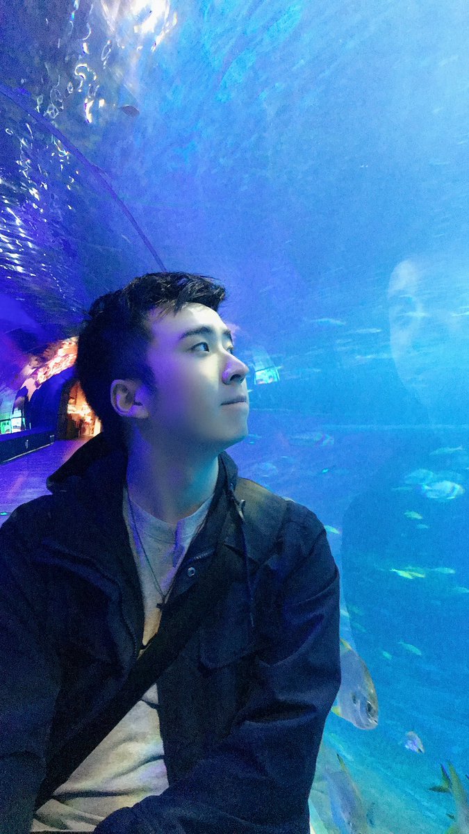 zeta (@ultramanpnx) on Twitter photo 