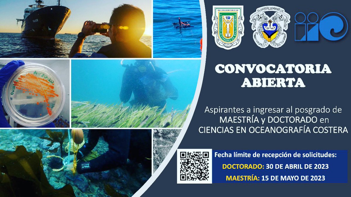 FCM_Ocean tweet media