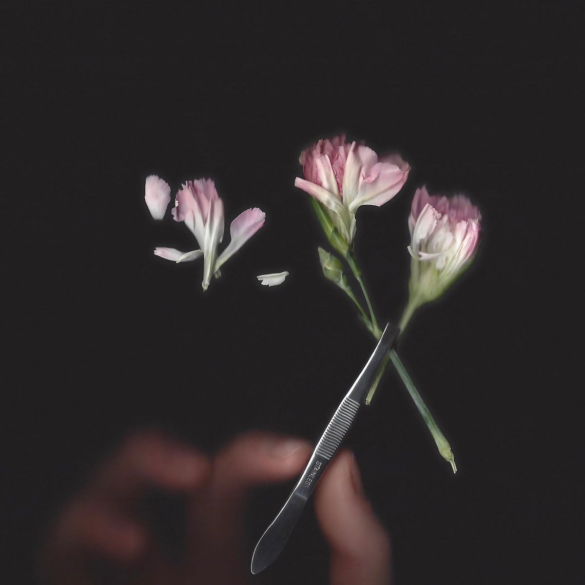 .<a href="/KatieeTupperr/">Katie Tupper</a> has revealed a new single and video titled “Woman No” from her forthcoming EP ‘Where To Find Me’. 

Watch the music video: youtube.com/watch?v=6thLka…
Listen: katietupper.lnk.to/womanno