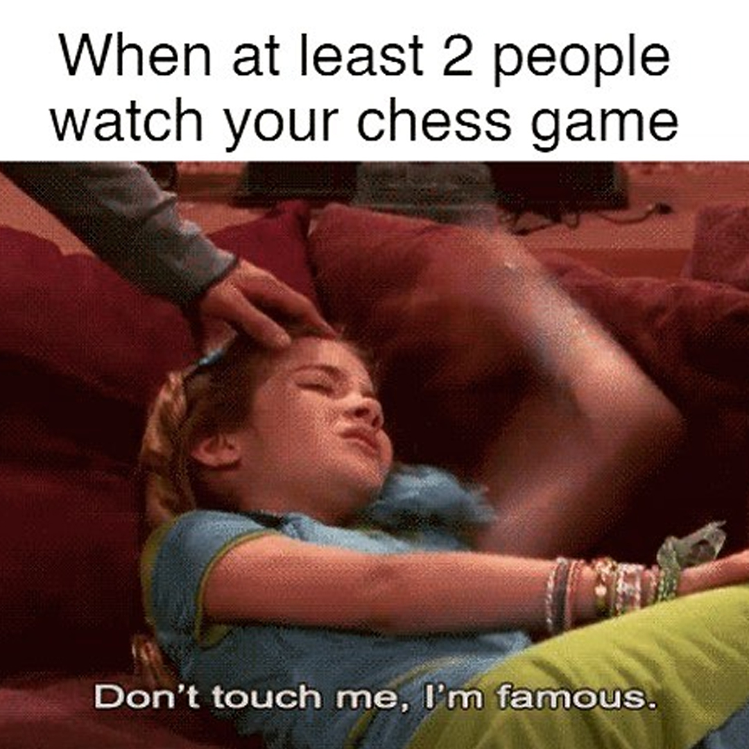 MetalEagleChess's tweet photo. I may be making all the right moves on the board, but don't forget; I'm the real star of this show!😂 https://t.co/FTEGp0aBsM