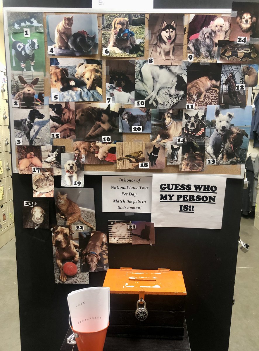Mayra Parada (@mayraparada0104) on Twitter photo We continue celebrating Love your Pet day with a little game..Who wants to play?? <a href="/THDMichelleT/">Michelle Torres</a> <a href="/MeganTorresD305/">Megan Torres</a> <a href="/ops3815/">Linda Justice</a> <a href="/BradnanBrittnay/">Brittnay Bradnan</a> <a href="/Stephan68335720/">Stephanie Hughey</a> We continue celebrating Love your Pet day with a little game..Who wants to play?? <a href="/THDMichelleT/">Michelle Torres</a> <a href="/MeganTorresD305/">Megan Torres</a> <a href="/ops3815/">Linda Justice</a> <a href="/BradnanBrittnay/">Brittnay Bradnan</a> <a href="/Stephan68335720/">Stephanie Hughey</a>