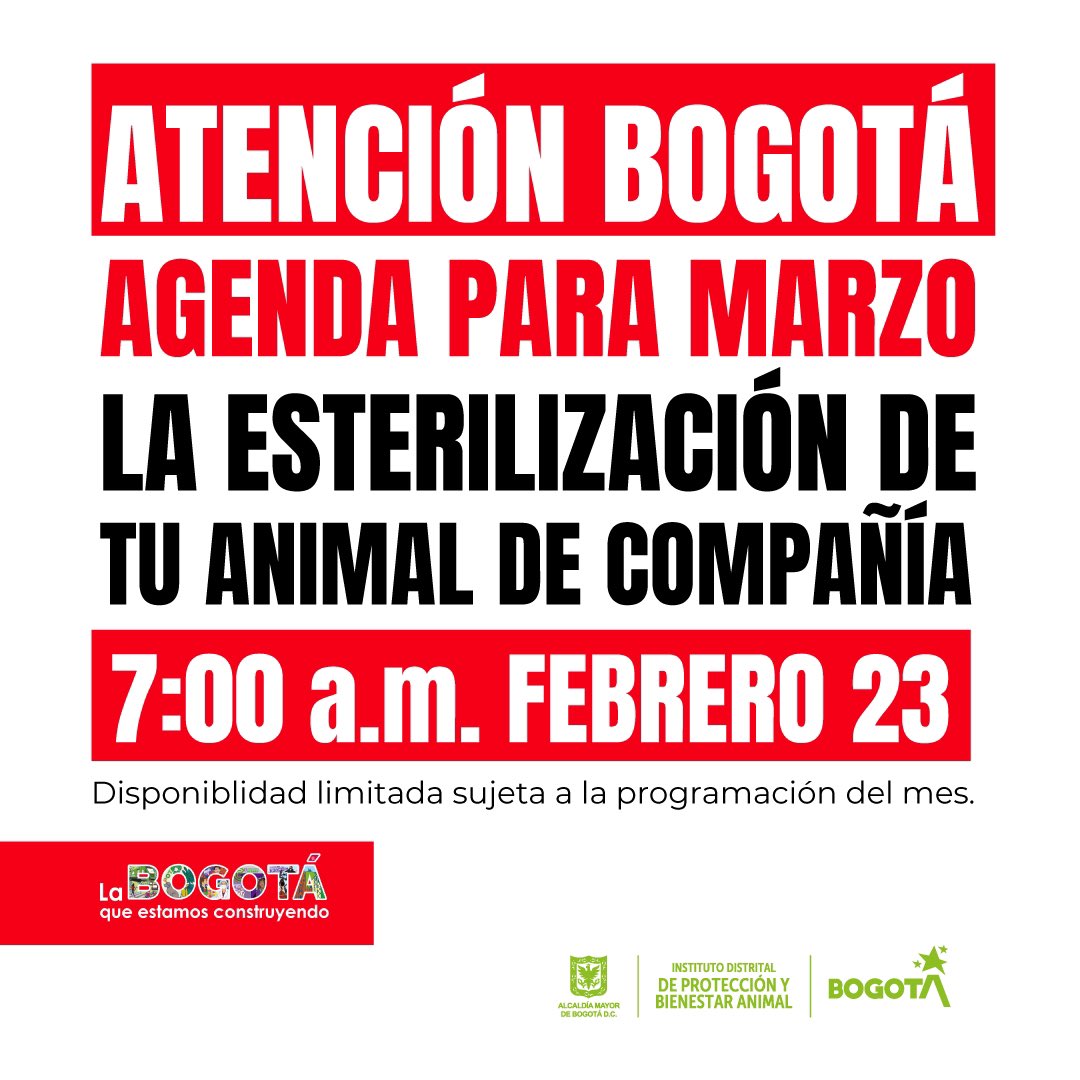 AnimalesBOG's tweet photo. 🚨ATENCIÓN 🚨ESTE 23 DE FEBRERO ABRIREMOS TURNOS PARA ESTERILIZACIÓN 

Consulta los turnos de esterilización disponibles para PERROS y GATOS, en jornadas móviles.🚨 https://t.co/LI3Q0vQDSg