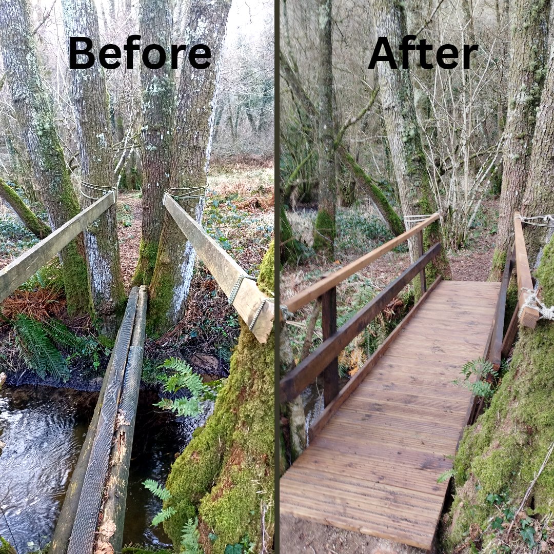 We've upgraded ourold rickety bridge across the Wray Brook. Do you like the new one? Much of the old bridge was reused in the new one.  Here's a link to the full length (80s) video on youtu.be/oSygqwpM9NQ
#wrayvalley #bridgebuilding #devon #bridges #dartmoor #woods