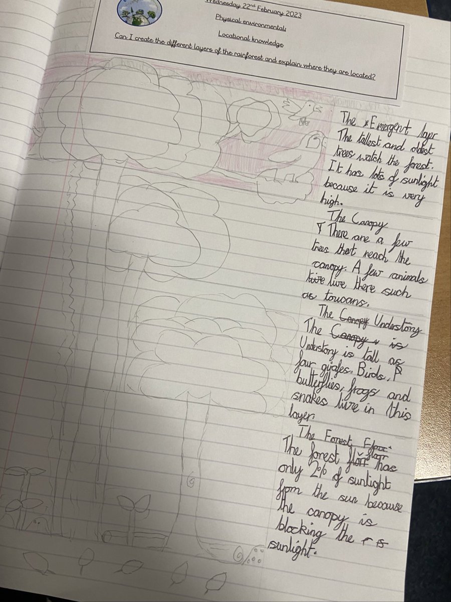 EndsleighHoly's tweet photo. CLASS 3/4 have started their new Geography topic- Rainforests. We’ve had some fantastic work and illustrations but, to top it off we’ve even watched the main man himself @davidattenburro 🌴🍃 https://t.co/0yOzCCZVyR