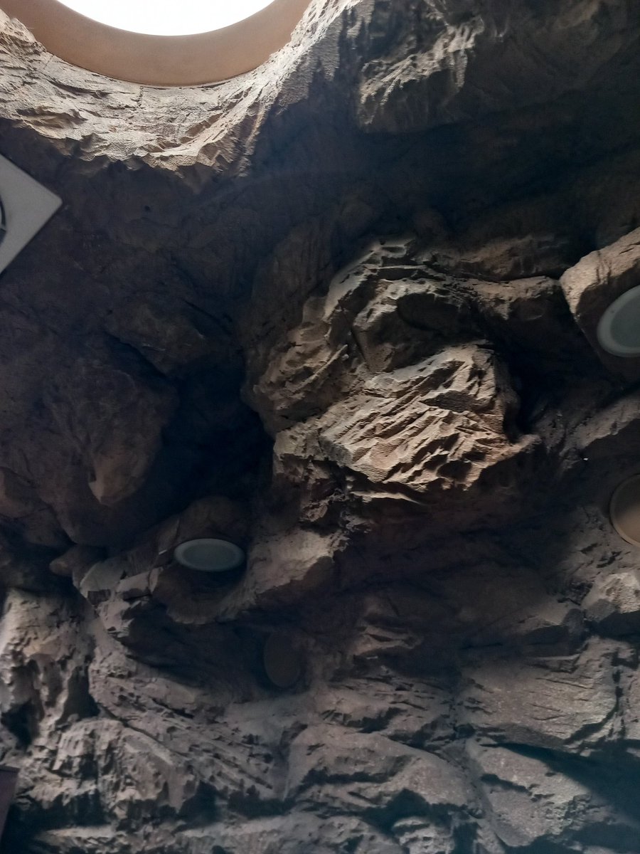 GodelieveTT's tweet photo. https://t.co/nwl8aq2Tn0 We vertrekken 12.30 bij Grotto. Oude Warande. O l.v gids anderhalf uur. Voor wie wil, na afloop samen nog wat drinken in Grotto. #Tilburg #STEEOK https://t.co/qij7alOJUz