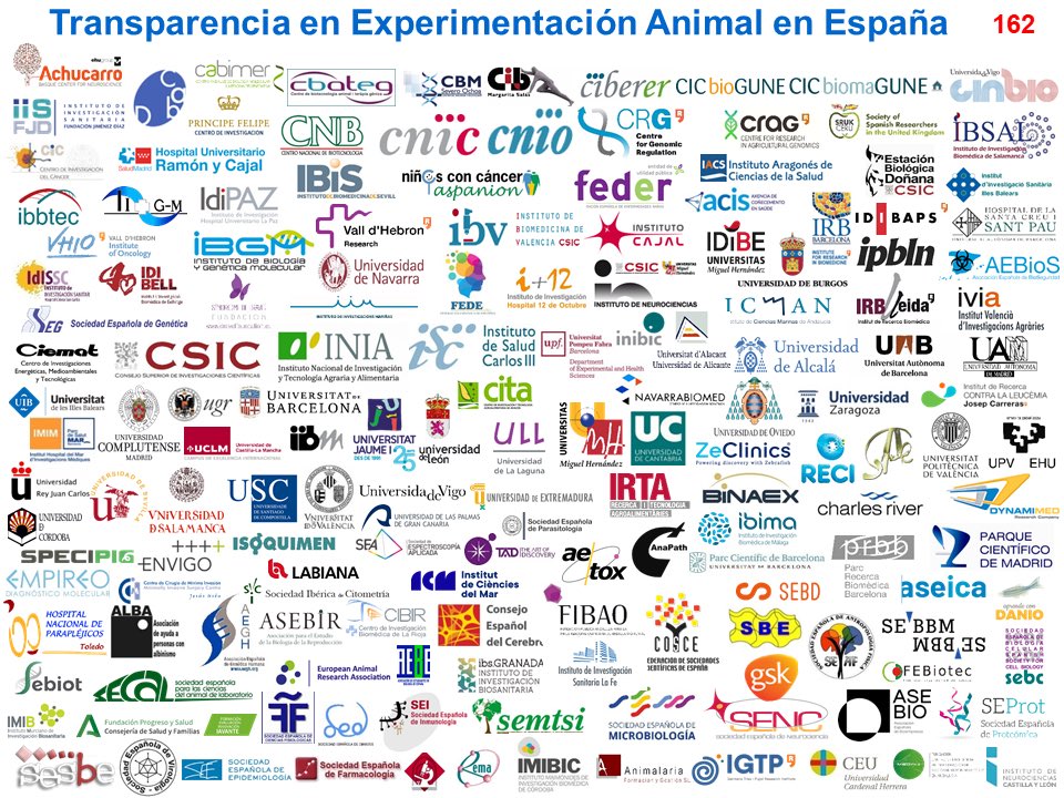 Lluis Montoliu (@lluismontoliu) on Twitter photo Damos la bienvenida a una nueva entidad <a href="/AseBio/">AseBio - Asociación Española de Bioempresas</a>, la Asociación Española de Bioempresas, que se adhiere al acuerdo <a href="/COSCEorg/">Confederación de Sociedades Científicas de España</a> por la #Transparencia en Experimentación Animal. Sed bienvenidos! Con ellos ya somos 162 instituciones adheridas.
cosce.org/entidades-adhe… Damos la bienvenida a una nueva entidad <a href="/AseBio/">AseBio - Asociación Española de Bioempresas</a>, la Asociación Española de Bioempresas, que se adhiere al acuerdo <a href="/COSCEorg/">Confederación de Sociedades Científicas de España</a> por la #Transparencia en Experimentación Animal. Sed bienvenidos! Con ellos ya somos 162 instituciones adheridas.
cosce.org/entidades-adhe…