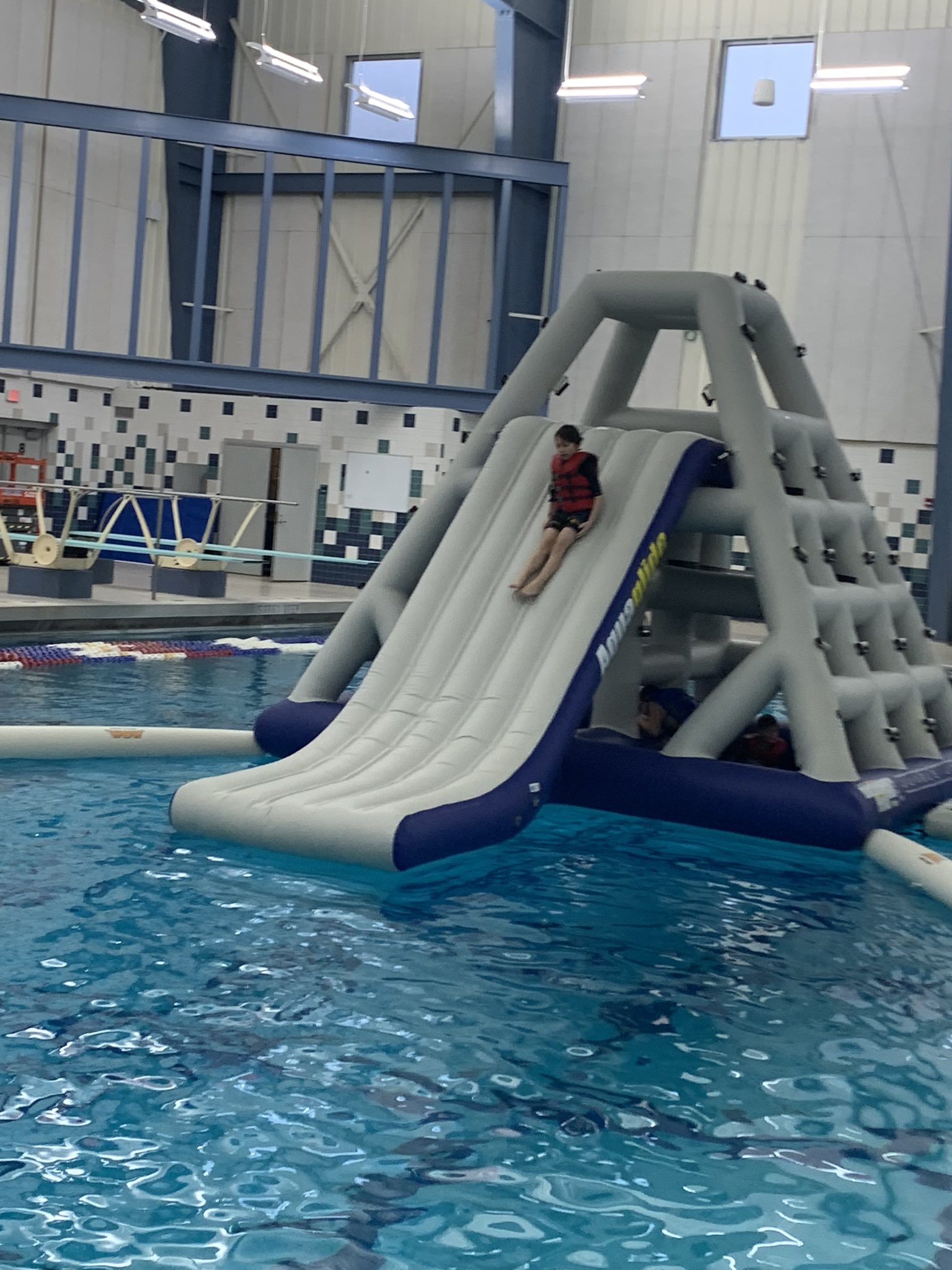 ster Aquatics (websteraquatics) / Twitter