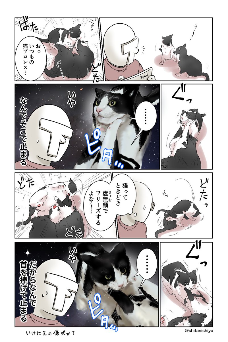 ちょっと遅刻の猫の日漫画
先日の動画のやつです

#猫の日 #にゃんにゃんにゃんの日 