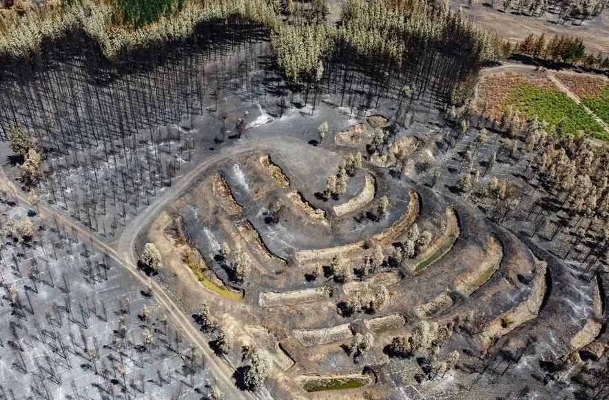 latercera's tweet photo. Conaf revela que intencionalidad en incendios ya investigados en Biobío y La Araucanía llega al 40% https://t.co/wZmo4XMMfU https://t.co/ClzNUEvst6